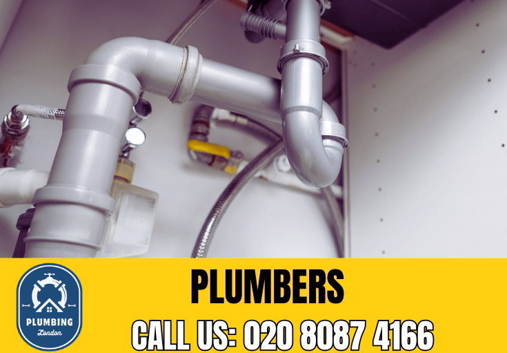  plumber Chobham Manor