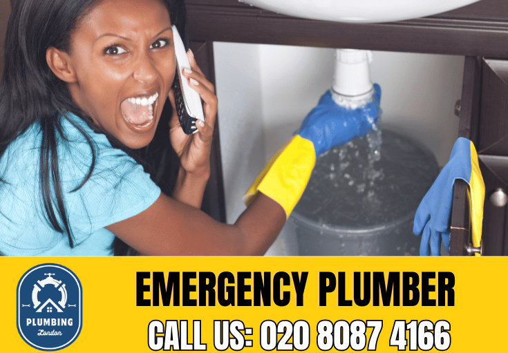 emergency plumber Stratford