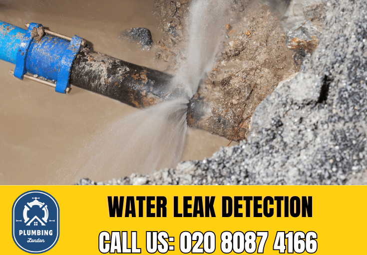 leak detection Stratford